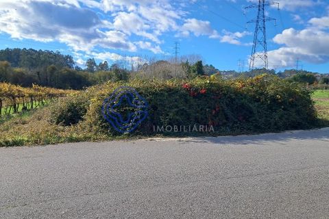 Helårsgrund i Paredes, Porto, Paredes - € 35.000 | Ref: 1117651 - foto 3
