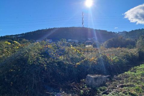 Helårsgrund i Paredes, Porto, Paredes - € 35.000 | Ref: 1117651 - foto 4