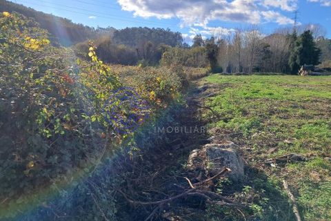 Helårsgrund i Paredes, Porto, Paredes - € 35.000 | Ref: 1117651 - foto 5