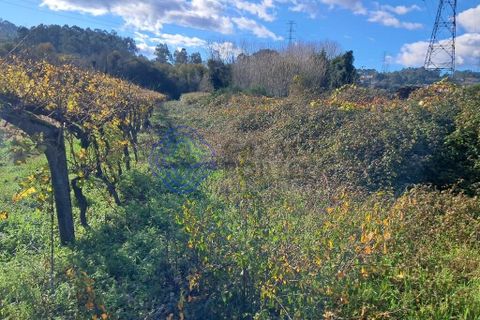 Helårsgrund i Paredes, Porto, Paredes - € 35.000 | Ref: 1117651 - foto 6