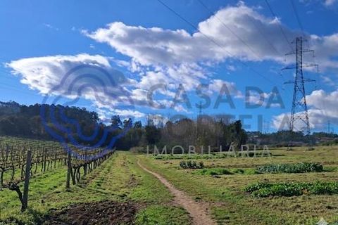 Helårsgrund i Paredes, Porto, Paredes - € 35.000 | Ref: 1117651 - foto 11