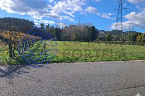 Helårsgrund i Paredes, Porto, Paredes - € 35.000 | Ref: 1117651 - foto 12