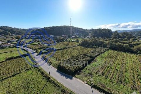 Helårsgrund i Paredes, Porto, Paredes - € 35.000 | Ref: 1117651 - foto 13