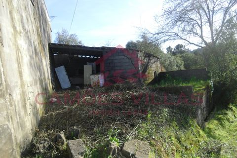 Duplex i Carvalhal, Santarem, Carvalhal - € 125.000 | Ref: CAS_61 - foto 8