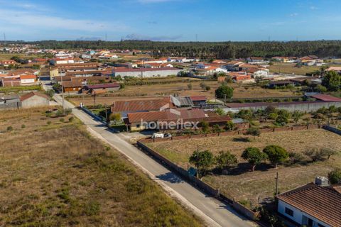 Villa i Pombal, Leiria, Pombal - € 330.000 | Ref: 1672/AV - foto 11