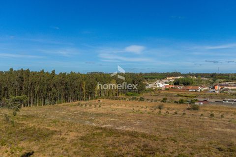 Villa i Pombal, Leiria, Pombal - € 330.000 | Ref: 1672/AV - foto 12