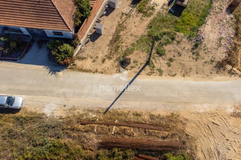 Villa i Pombal, Leiria, Pombal - € 330.000 | Ref: 1672/AV - foto 13
