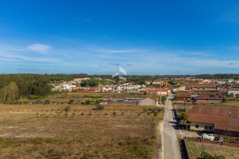 Villa i Pombal, Leiria, Pombal - € 330.000 | Ref: 1672/AV - foto 15