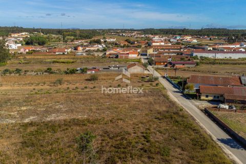 Villa i Pombal, Leiria, Pombal - € 330.000 | Ref: 1672/AV - foto 16