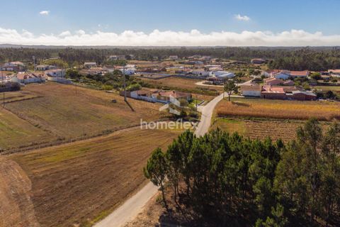 Villa i Pombal, Leiria, Pombal - € 330.000 | Ref: 1672/AV - foto 17