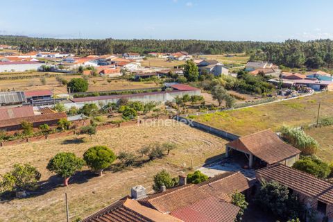 Villa i Pombal, Leiria, Pombal - € 330.000 | Ref: 1672/AV - foto 19