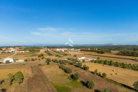 Villa i Pombal, Leiria, Pombal - € 330.000 | Ref: 1672/AV - foto 20