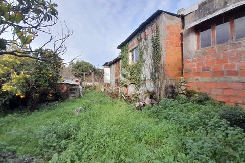 Villa i Soure, Coimbra, Soure - € 66.500 | Ref: 1666/AV - foto 44