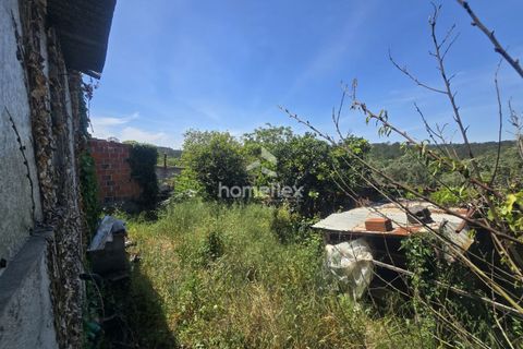 Villa i Soure, Coimbra, Soure - € 66.500 | Ref: 1666/AV - foto 47