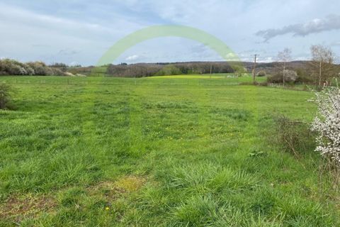 Terra a Velleminfroy, Haute-Saone, Velleminfroy - € 42.000 | Ref: 3011442390 - foto 2