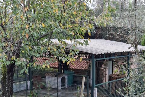 Villa a Arganil, Coimbra, Arganil - € 142.000 | Ref: 694D - foto 14