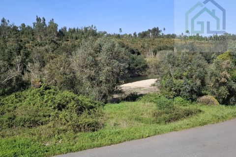 Villa a Arganil, Coimbra, Arganil - € 180.000 | Ref: 695 - foto 3