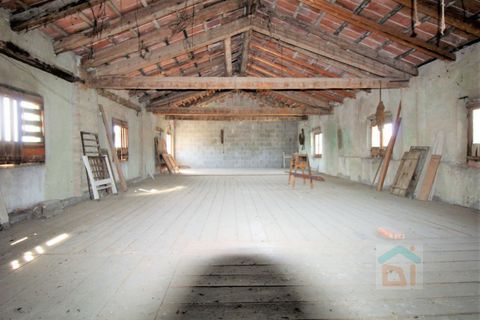 Landejendom i Gonars, Udine, Gonars - € 50.000 | Ref: 3BDU50NC4 - foto 15