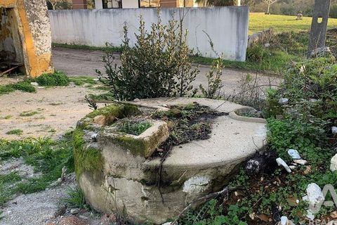 Helårsgrund i Pombal, Leiria, Pombal - € 31.300 | Ref: 777394 - foto 2