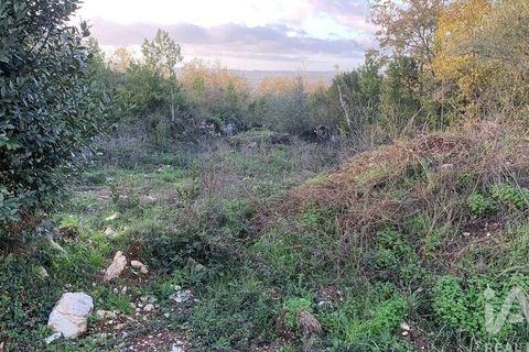 Helårsgrund i Pombal, Leiria, Pombal - € 31.300 | Ref: 777394 - foto 24