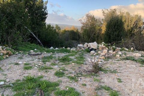 Helårsgrund i Pombal, Leiria, Pombal - € 31.300 | Ref: 777394 - foto 20