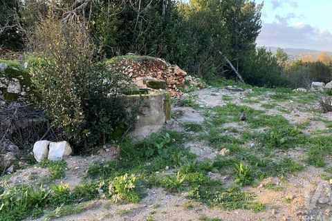 Helårsgrund i Pombal, Leiria, Pombal - € 31.300 | Ref: 777394 - foto 6
