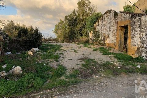 Helårsgrund i Pombal, Leiria, Pombal - € 31.300 | Ref: 777394 - foto 4