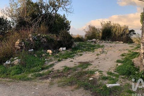 Helårsgrund i Pombal, Leiria, Pombal - € 31.300 | Ref: 777394 - foto 18