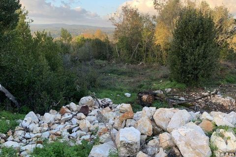 Helårsgrund i Pombal, Leiria, Pombal - € 31.300 | Ref: 777394 - foto 26