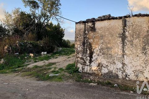 Helårsgrund i Pombal, Leiria, Pombal - € 31.300 | Ref: 777394 - foto 17