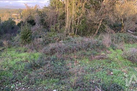 Helårsgrund i Pombal, Leiria, Pombal - € 31.300 | Ref: 777394 - foto 27