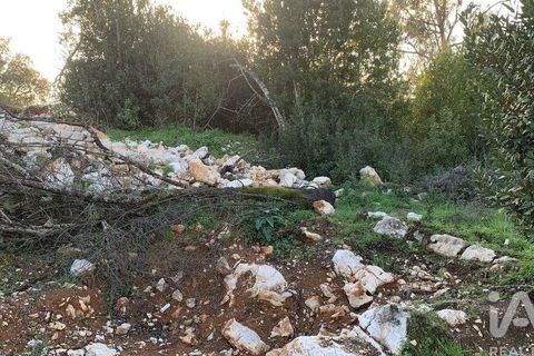 Helårsgrund i Pombal, Leiria, Pombal - € 31.300 | Ref: 777394 - foto 9