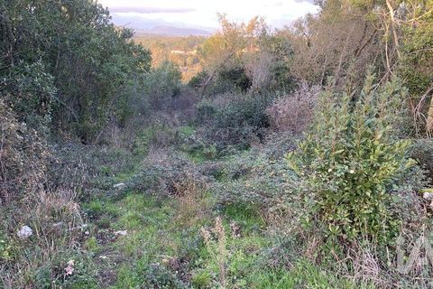 Helårsgrund i Pombal, Leiria, Pombal - € 31.300 | Ref: 777394 - foto 33