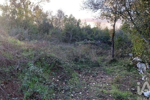 Helårsgrund i Pombal, Leiria, Pombal - € 31.300 | Ref: 777394 - foto 35