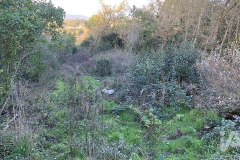 Helårsgrund i Pombal, Leiria, Pombal - € 31.300 | Ref: 777394 - foto 34