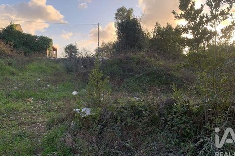 Helårsgrund i Pombal, Leiria, Pombal - € 31.300 | Ref: 777394 - foto 28