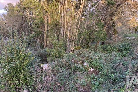Helårsgrund i Pombal, Leiria, Pombal - € 31.300 | Ref: 777394 - foto 10