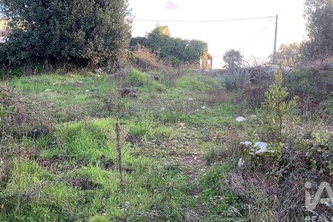 Helårsgrund i Pombal, Leiria, Pombal - € 31.300 | Ref: 777394 - foto 12