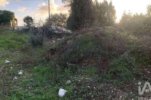 Helårsgrund i Pombal, Leiria, Pombal - € 31.300 | Ref: 777394 - foto 11