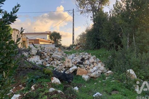 Helårsgrund i Pombal, Leiria, Pombal - € 31.300 | Ref: 777394 - foto 22