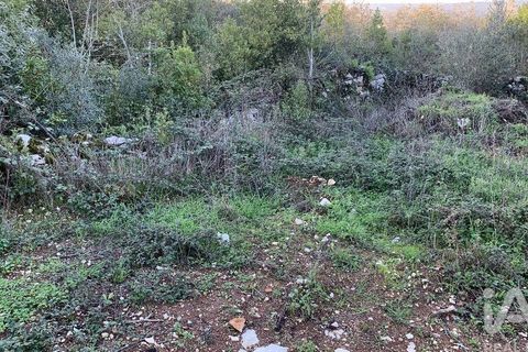 Helårsgrund i Pombal, Leiria, Pombal - € 31.300 | Ref: 777394 - foto 30