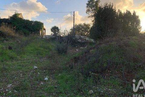 Helårsgrund i Pombal, Leiria, Pombal - € 31.300 | Ref: 777394 - foto 21