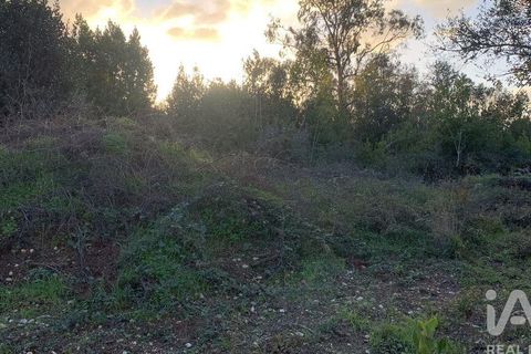 Helårsgrund i Pombal, Leiria, Pombal - € 31.300 | Ref: 777394 - foto 29