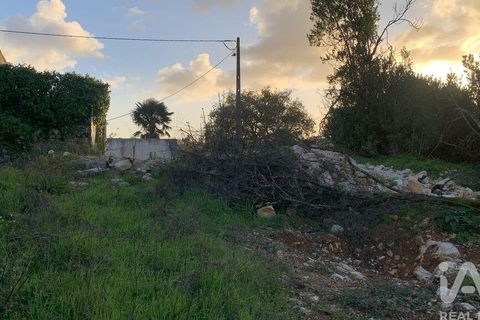 Helårsgrund i Pombal, Leiria, Pombal - € 31.300 | Ref: 777394 - foto 23