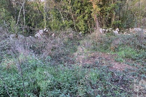 Helårsgrund i Pombal, Leiria, Pombal - € 31.300 | Ref: 777394 - foto 31