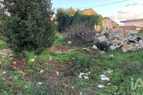 Helårsgrund i Pombal, Leiria, Pombal - € 31.300 | Ref: 777394 - foto 15