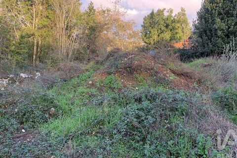Helårsgrund i Pombal, Leiria, Pombal - € 31.300 | Ref: 777394 - foto 14