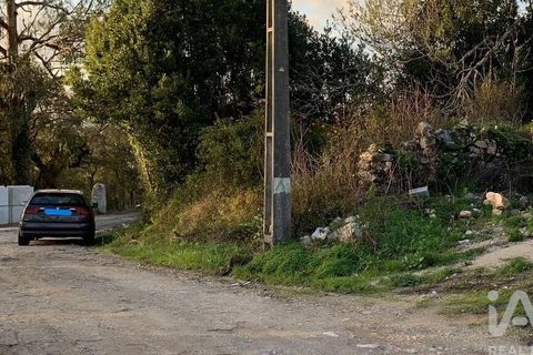 Helårsgrund i Pombal, Leiria, Pombal - € 31.300 | Ref: 777394 - foto 19