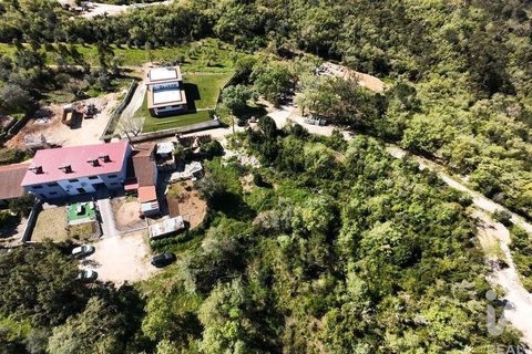 Helårsgrund i Pombal, Leiria, Pombal - € 31.300 | Ref: 777394 - foto 3