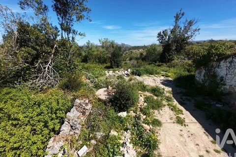 Helårsgrund i Pombal, Leiria, Pombal - € 31.300 | Ref: 777394 - foto 5